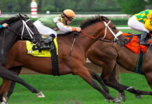 Horse race