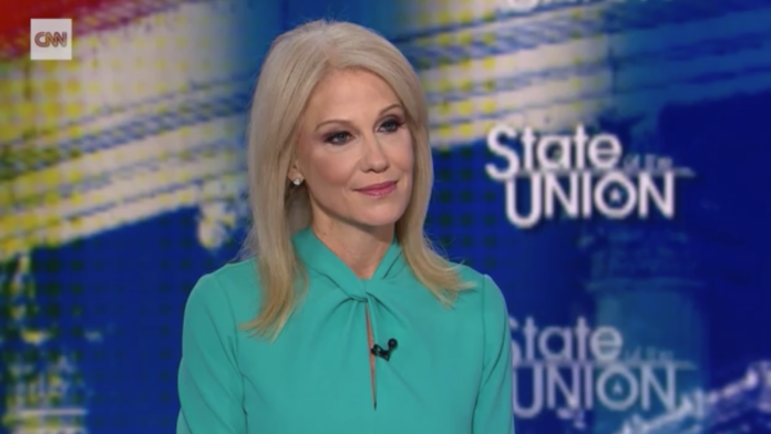 Kellyanne Conway on CNN