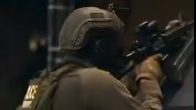 Screengrab from DHS video.